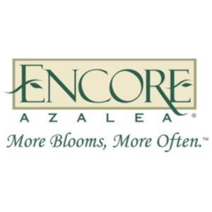 Encore® Azaleas
